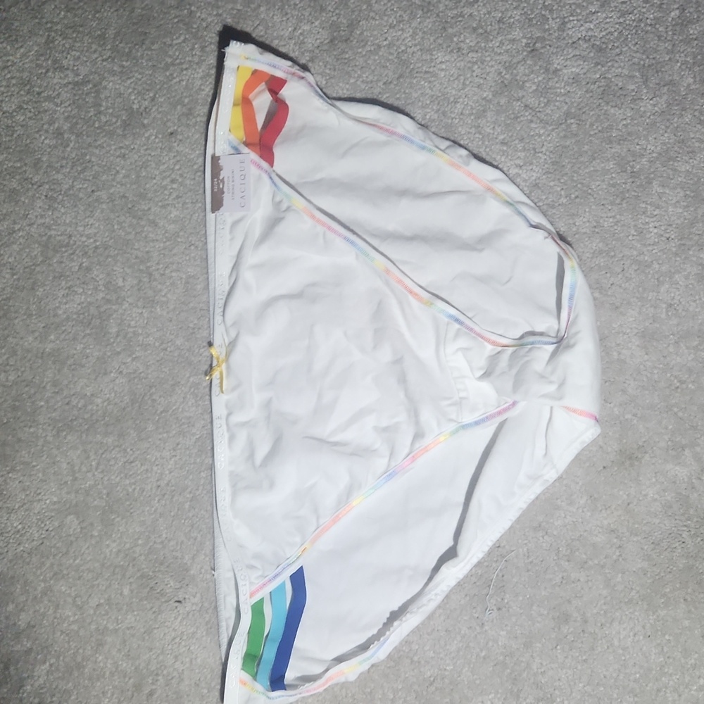 Pride panties